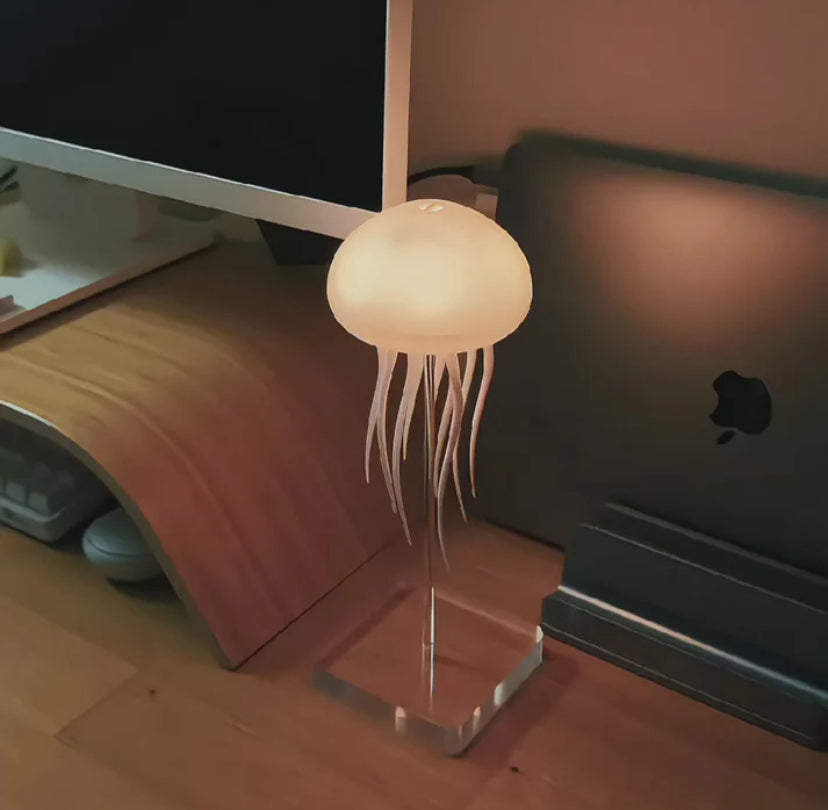 The Jelly Fish Lamp